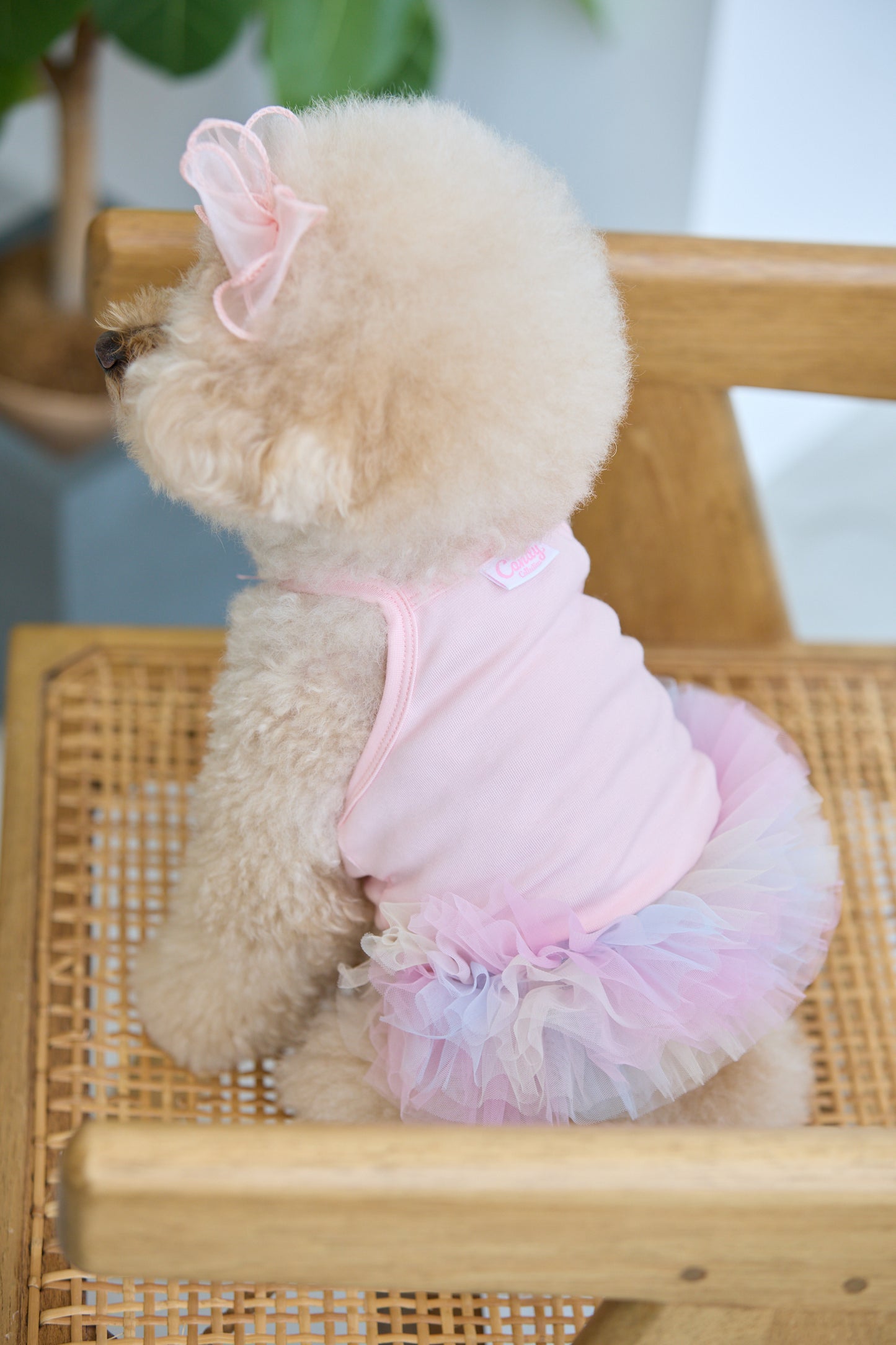 【Candy Series / 即納】Tulle Dress / チュールワンピース