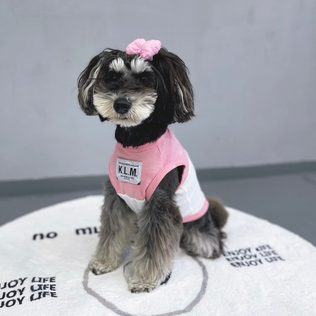 【New / 即納】"Hello" Mesh Tank Top for Pet / 「Hello」タンクトップ for Pet