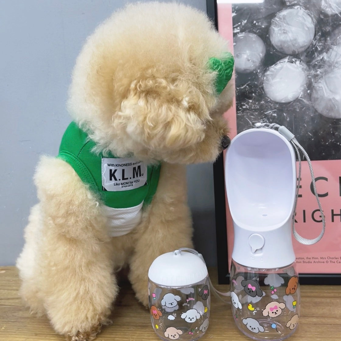 【即納 / 再入荷】"KLMuCCo" Water Bottle Set / ウォーターボトルセット