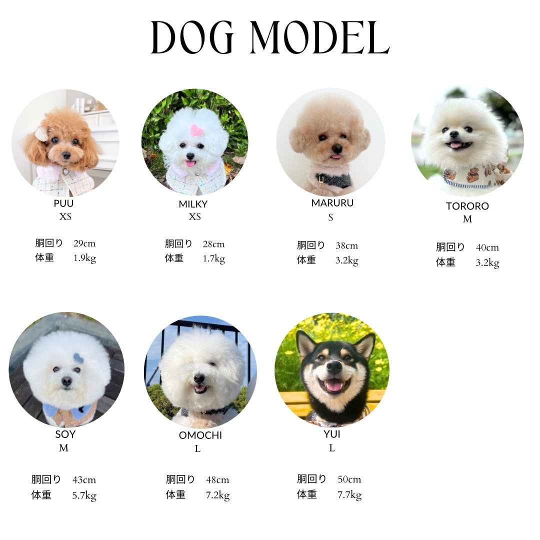 【即納】"King Of Dog" Sweatshirt / 「King Of Dog」トレーナー