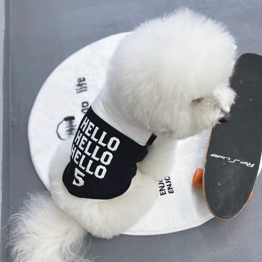 【New / 即納】"Hello" Mesh Tank Top for Pet / 「Hello」タンクトップ for Pet