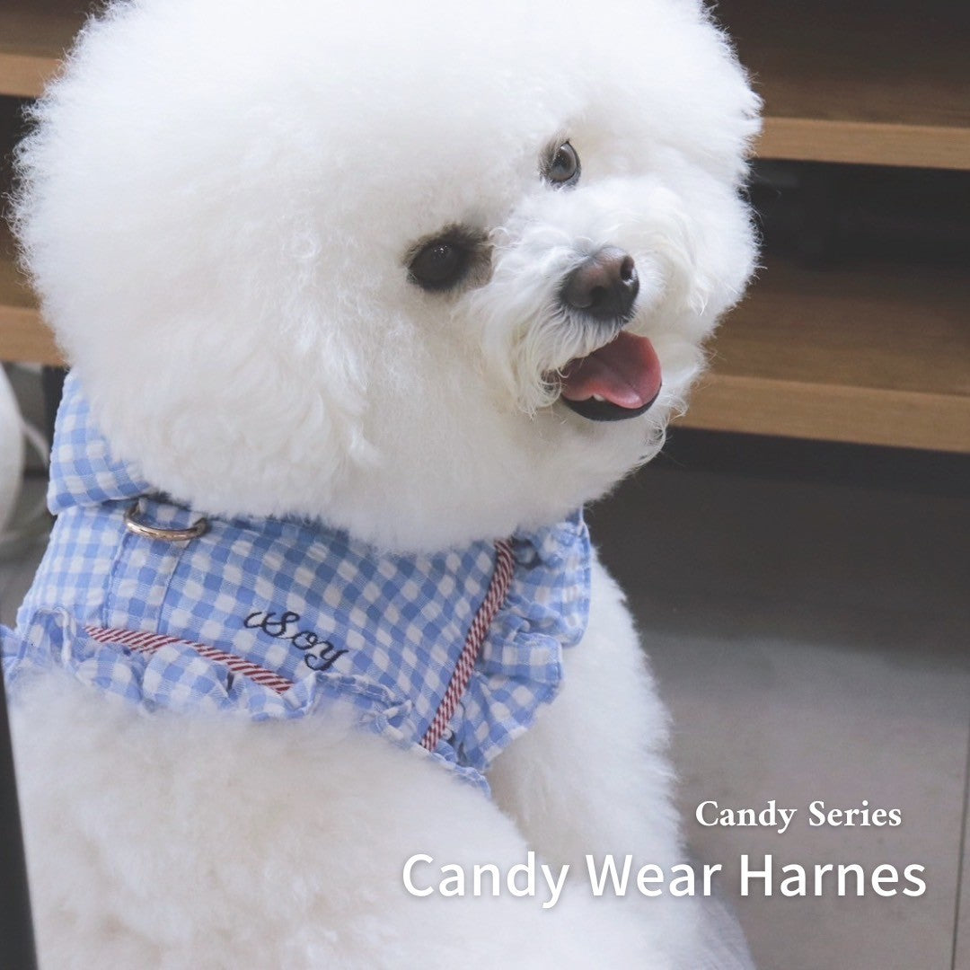 【Candy Series / 即納】Candy Wear Harness / キャンディウェアハーネス