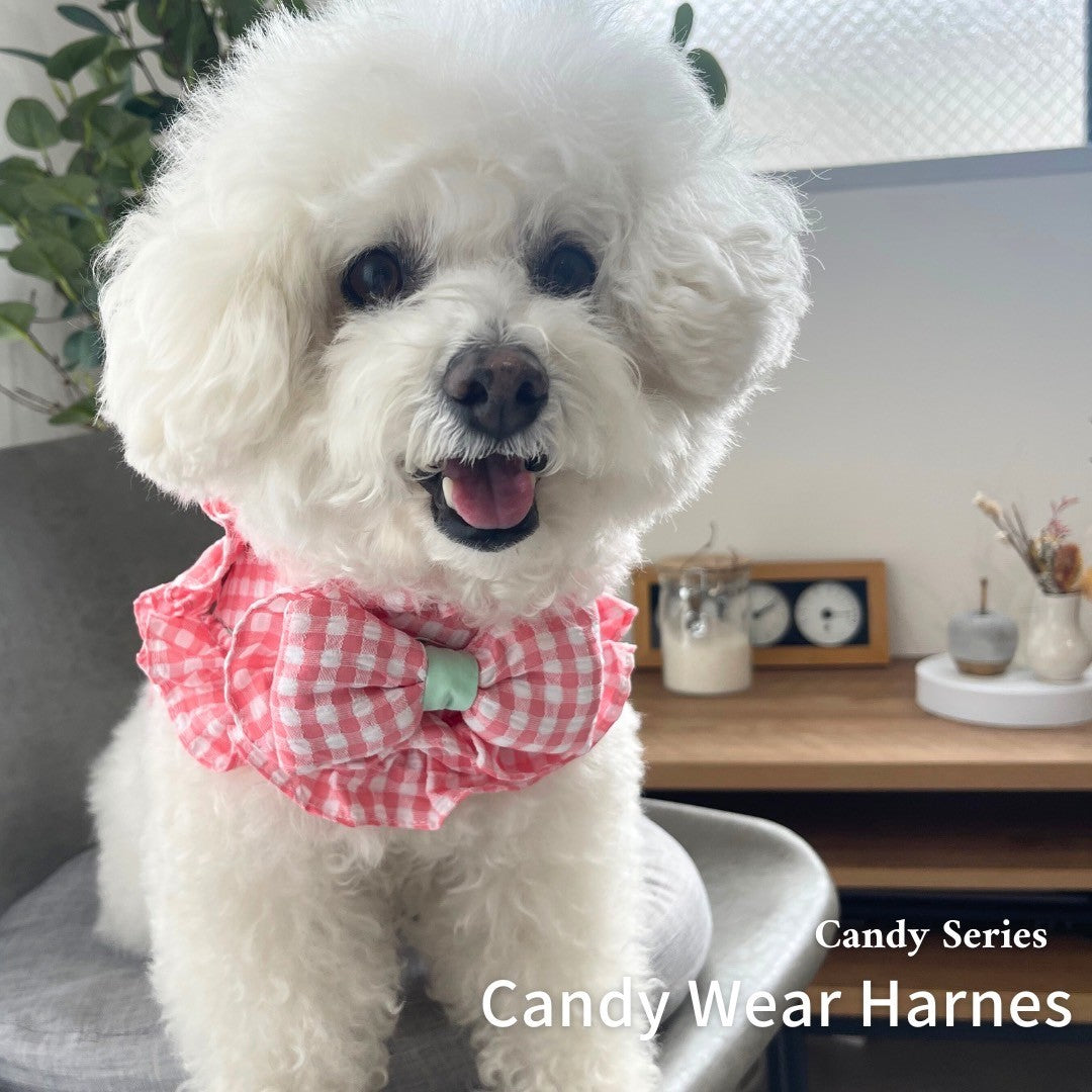 【Candy Series / 即納】Candy Wear Harness / キャンディウェアハーネス