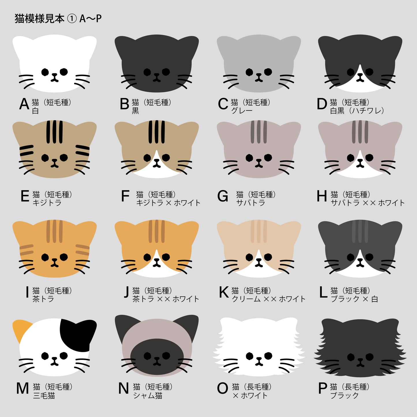 【 Pre-Order】 "KLMuCCo" Travel Bag Mini / カスタムオーダートラベルバッグミニ