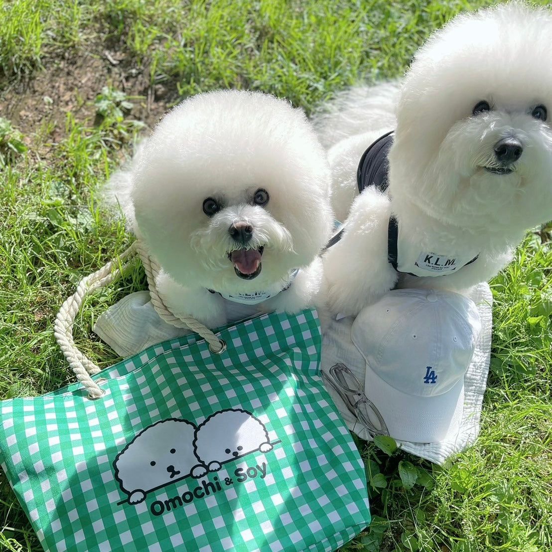 【 予約商品】"KLMuCCo" Gingham Big Tote / ギンガムビッグトート