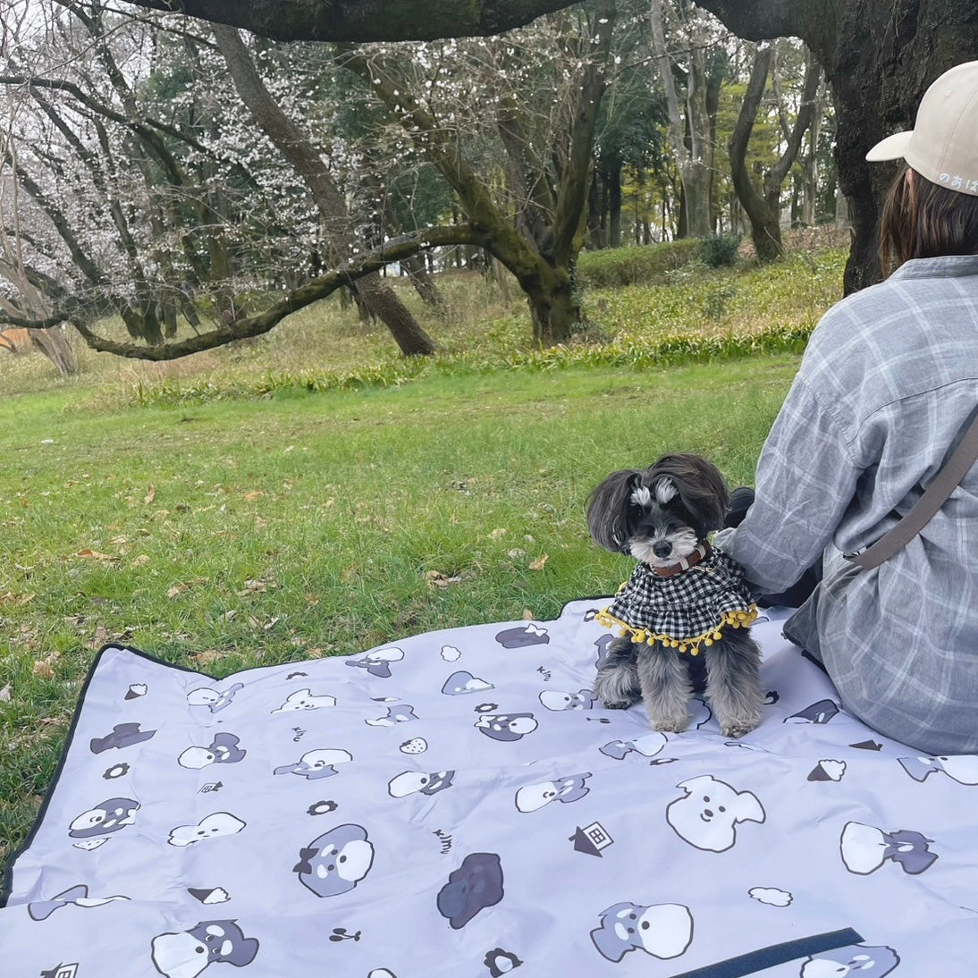 【即納】"KLMuCCo" Picnic Sheet / ビッグレジャーシート