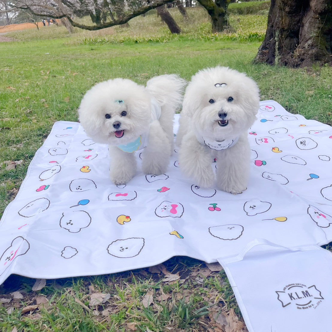 【即納】"KLMuCCo" Picnic Sheet / ビッグレジャーシート