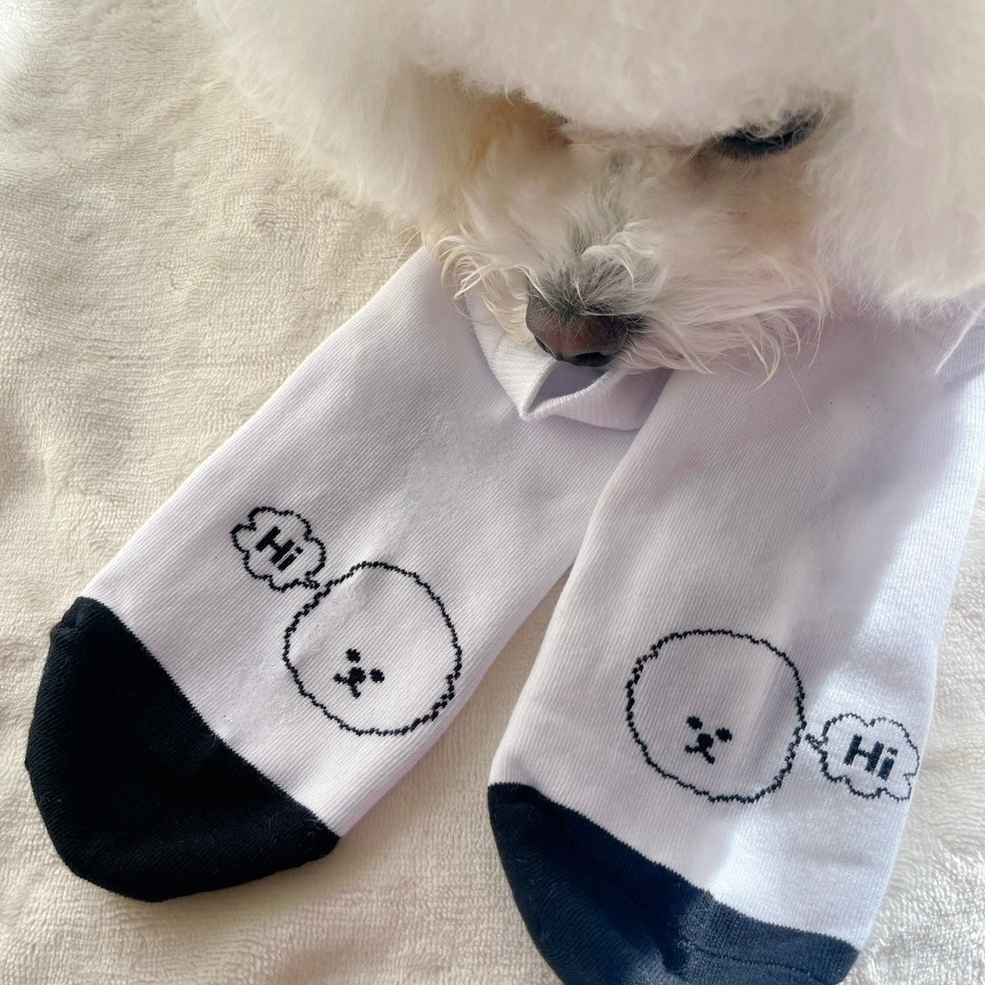 【Ready Stock】"Moco Moco Dog" Socks