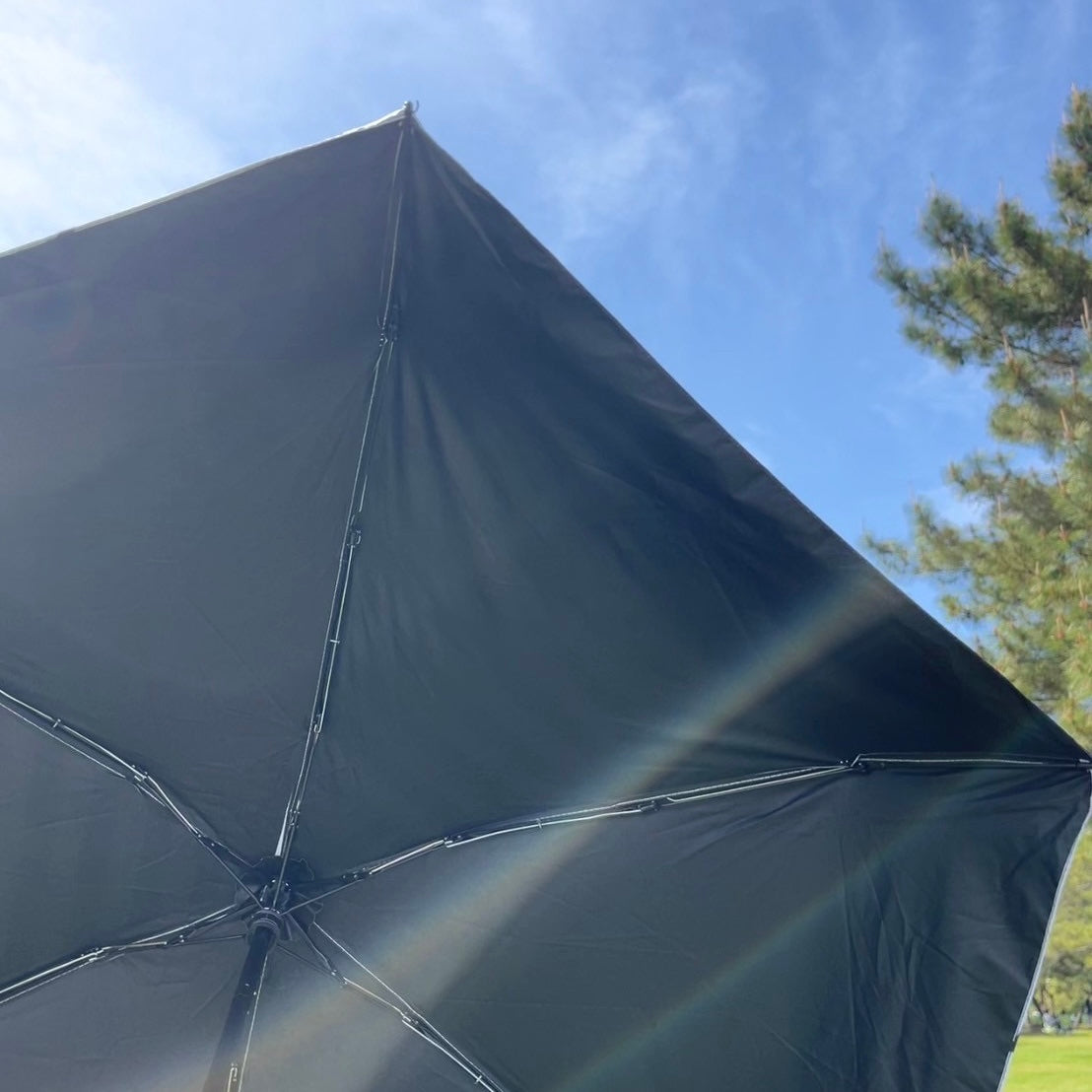 【訳あり品】"Hi Bichon" All-Weather Pocket Umbrella / 晴雨兼用軽量折りたたみ傘