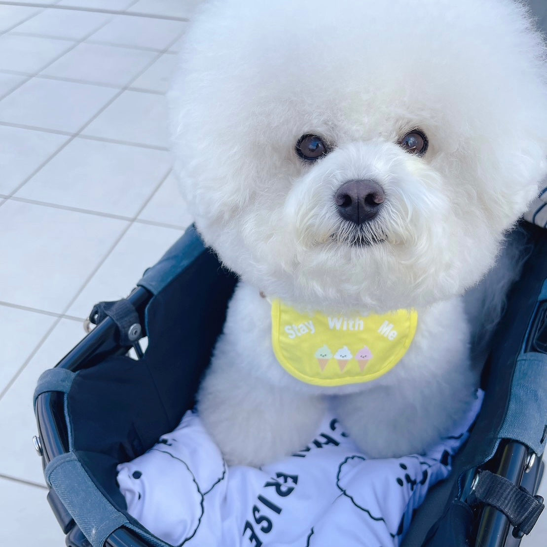 【Pre-Order】"Bichon Frise" Cooling Big Pouch / 「ビションフリーゼ」クーリングビッグポーチ