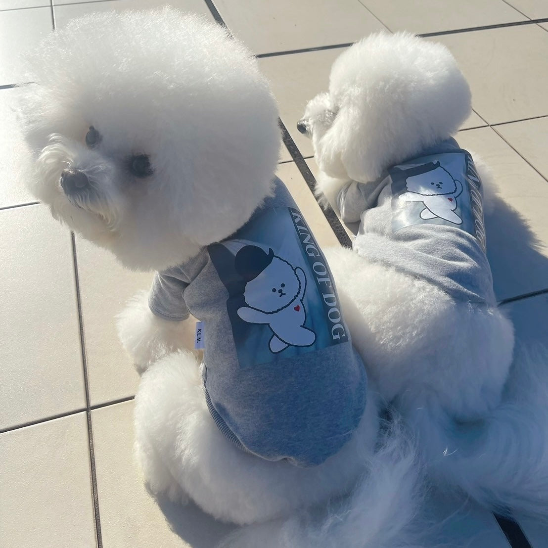 【New / 即納】"King Of Dog" Sweatshirt / 「King Of Dog」トレーナー