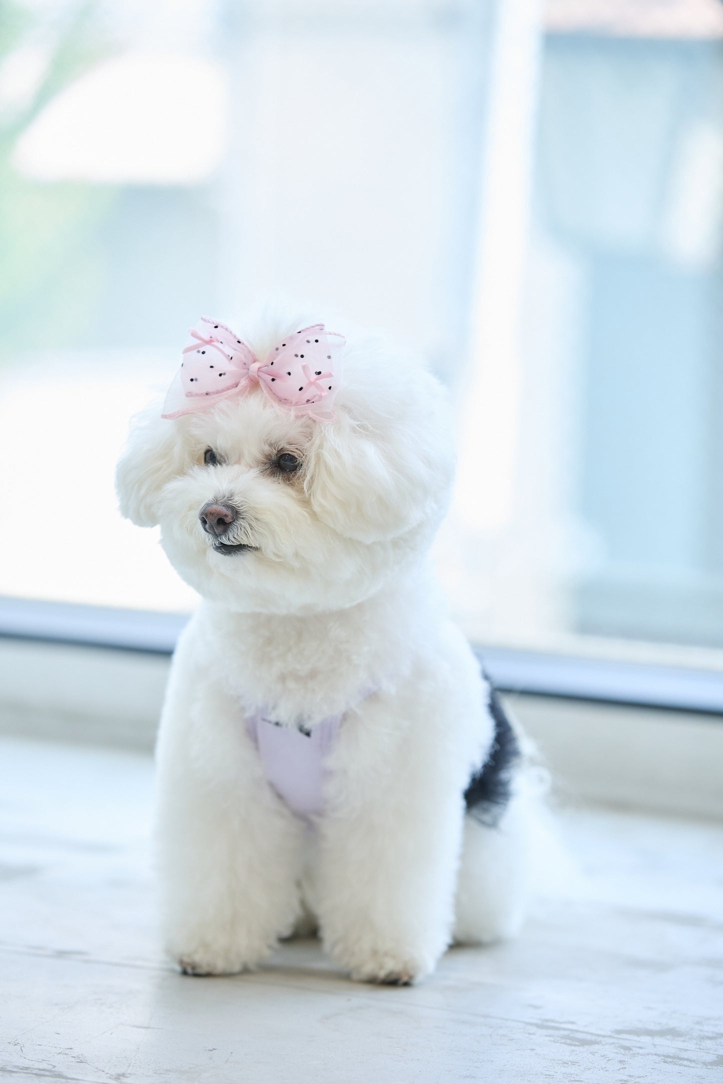 【即納】Big Ribbon Hair Pin / ビッグリボンヘアピン