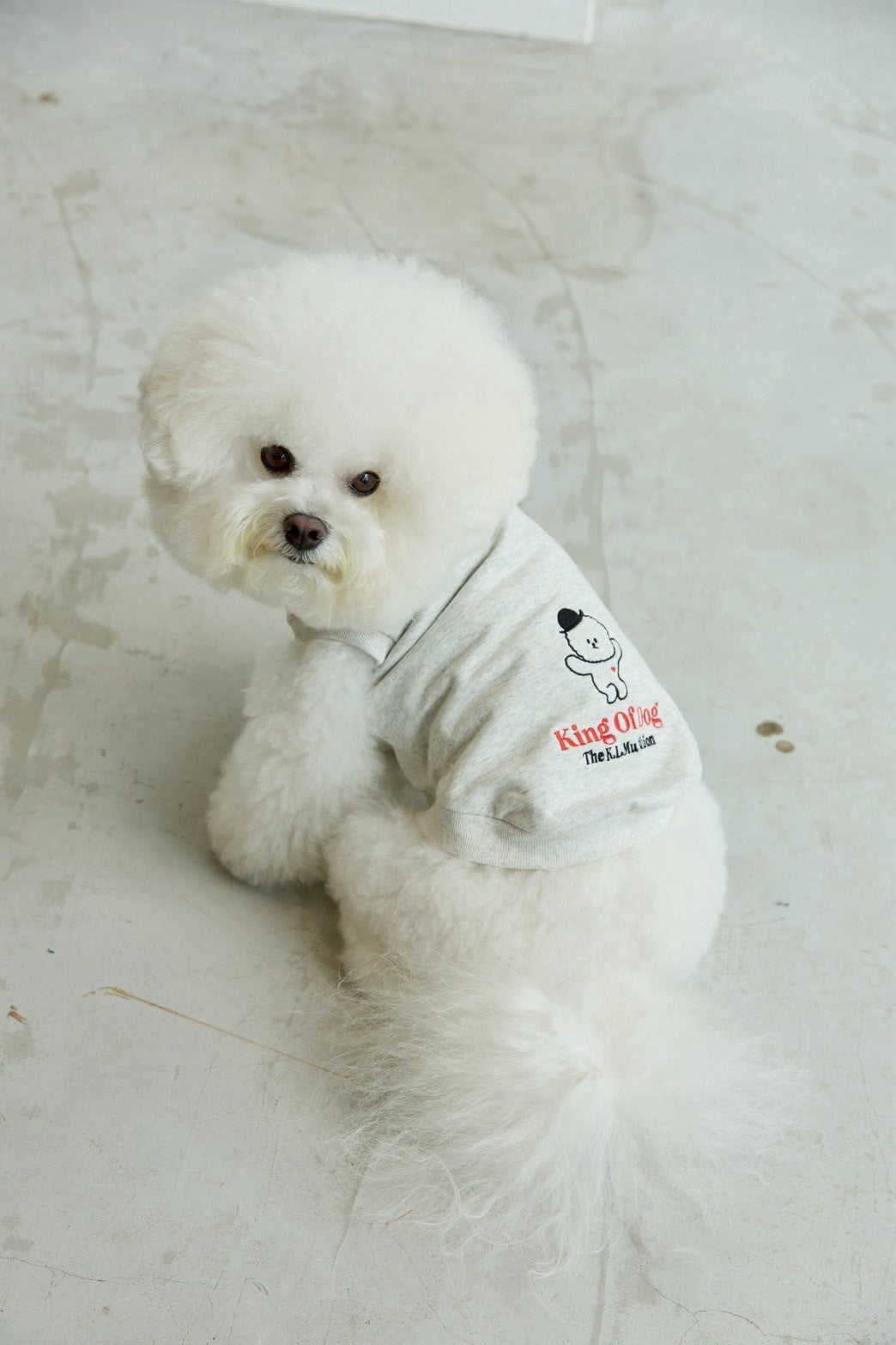 【即納】"King Of Dog" Sweat Tank Top for Pet / 「King Of Dog」スウェットタンクトップ for Pet