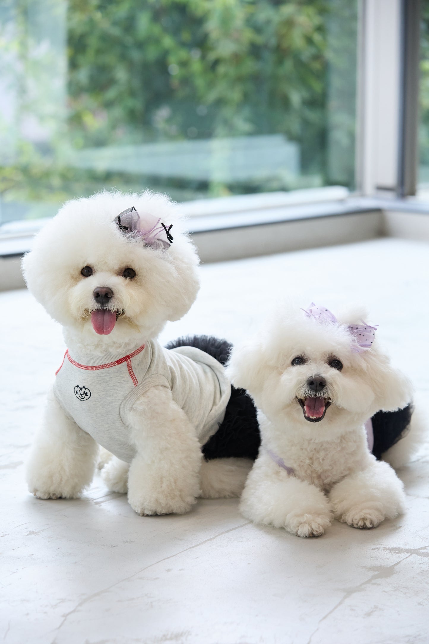 【即納】"King Of Dog" Sweat Tank Top for Pet / 「King Of Dog」スウェットタンクトップ for Pet