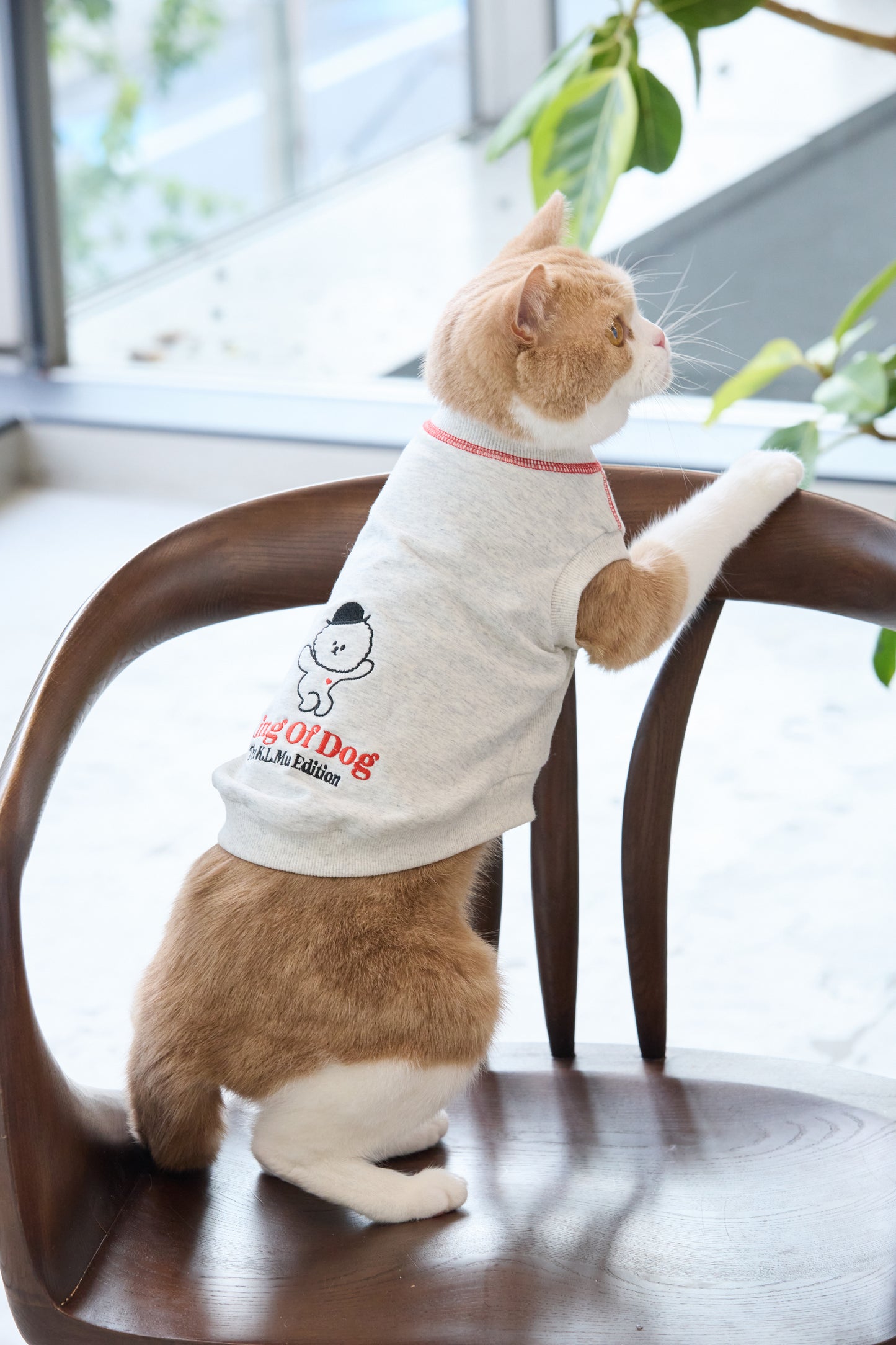 【即納】"King Of Dog" Sweat Tank Top for Pet / 「King Of Dog」スウェットタンクトップ for Pet
