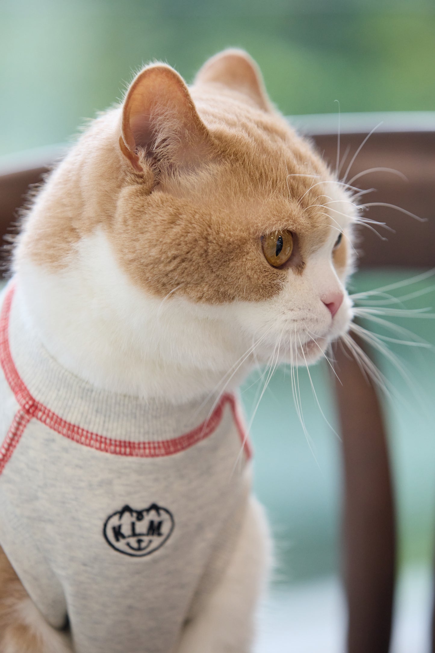【即納】"King Of Dog" Sweat Tank Top for Pet / 「King Of Dog」スウェットタンクトップ for Pet
