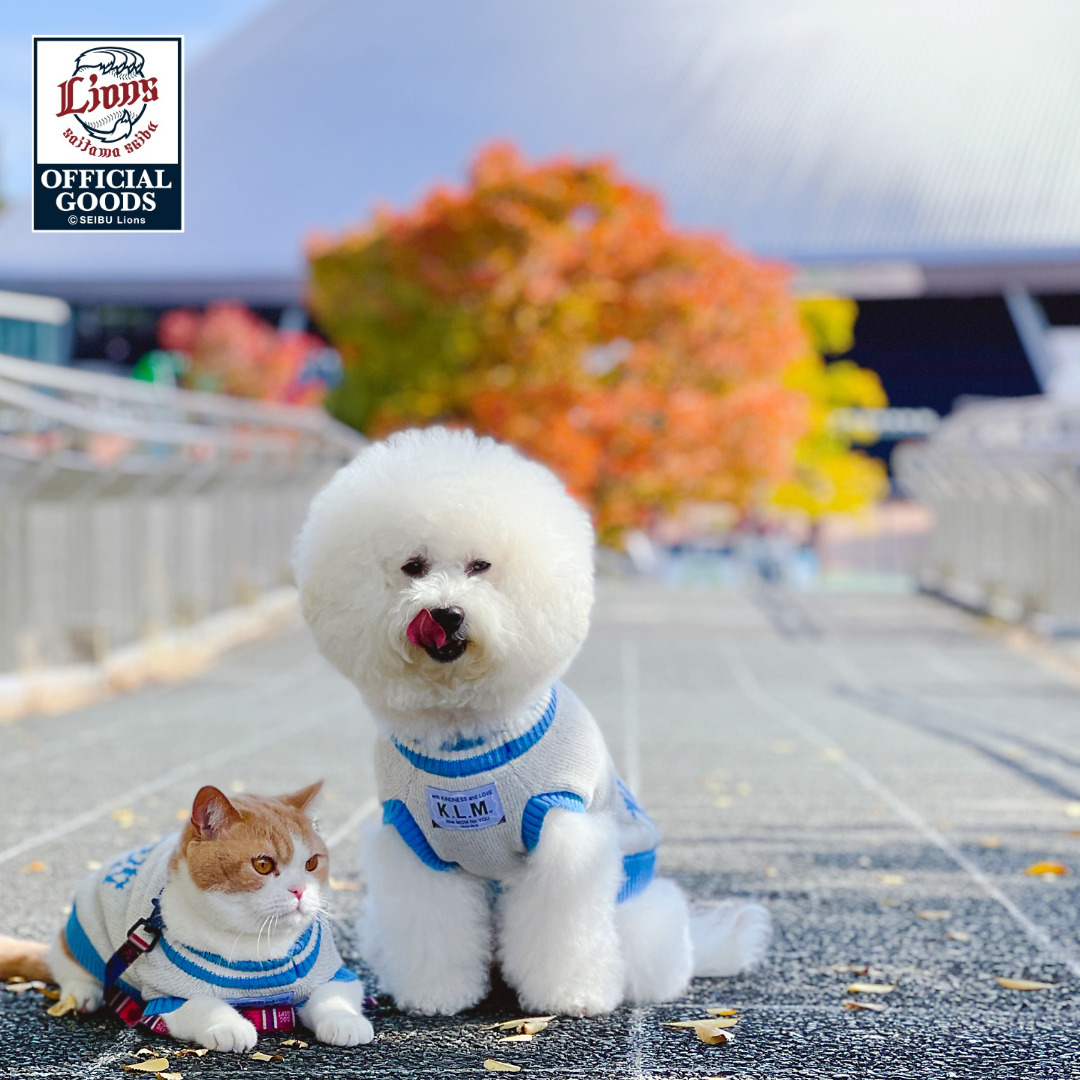 【埼玉西武ライオンズコラボ】Reflective Pet Knit / リフレクティブペットニット
