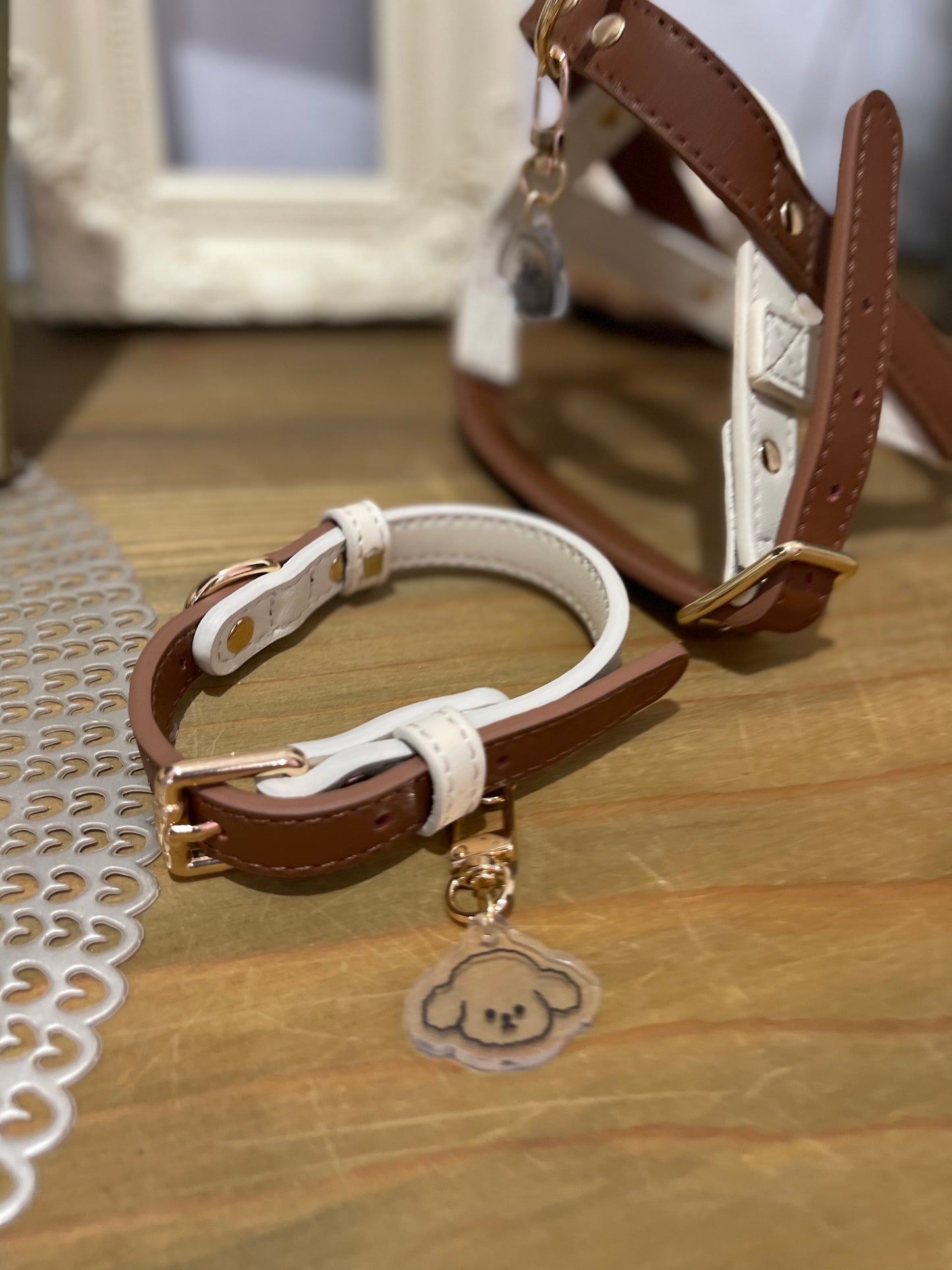 【即納】Leather Collar for dog / レザー首輪 for dog