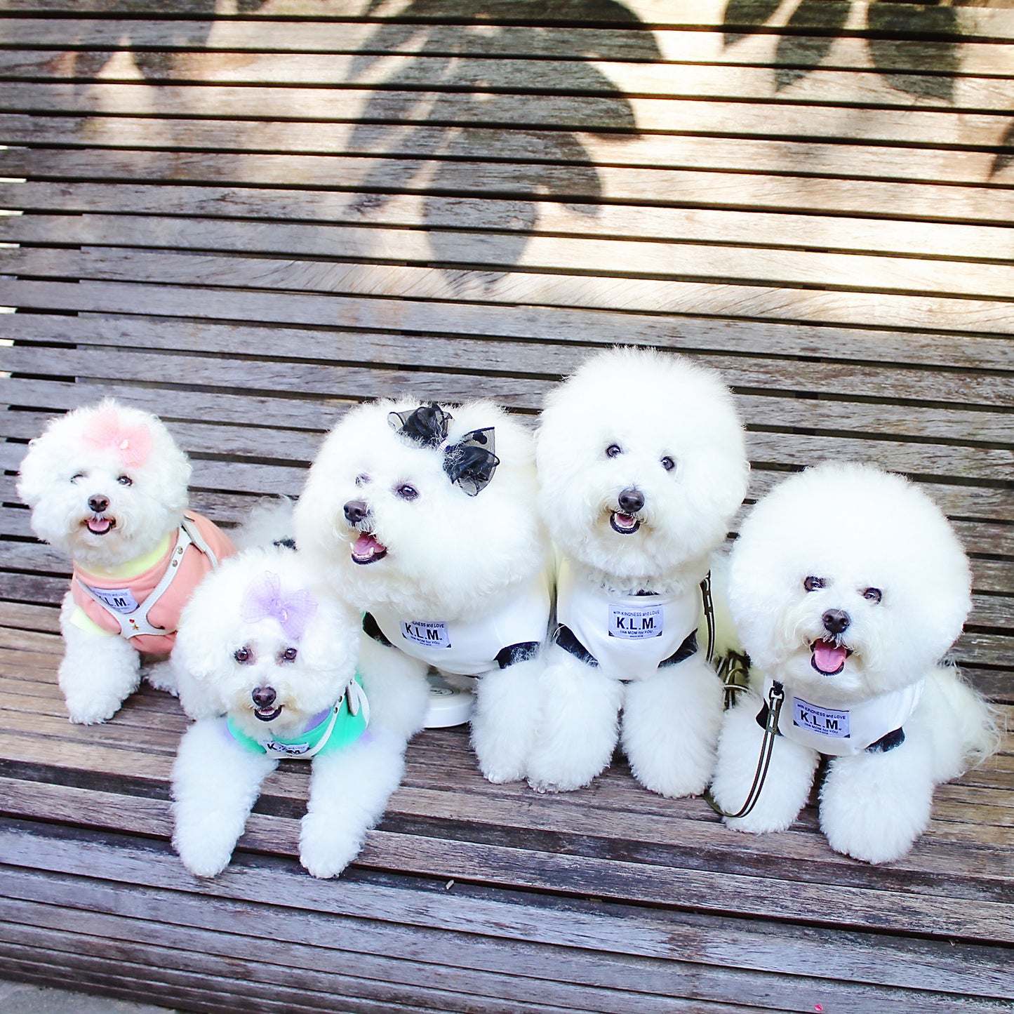 【 即納】"Stay With Me" T-shirt for pet / 「Stay With Me」ペットTシャツ