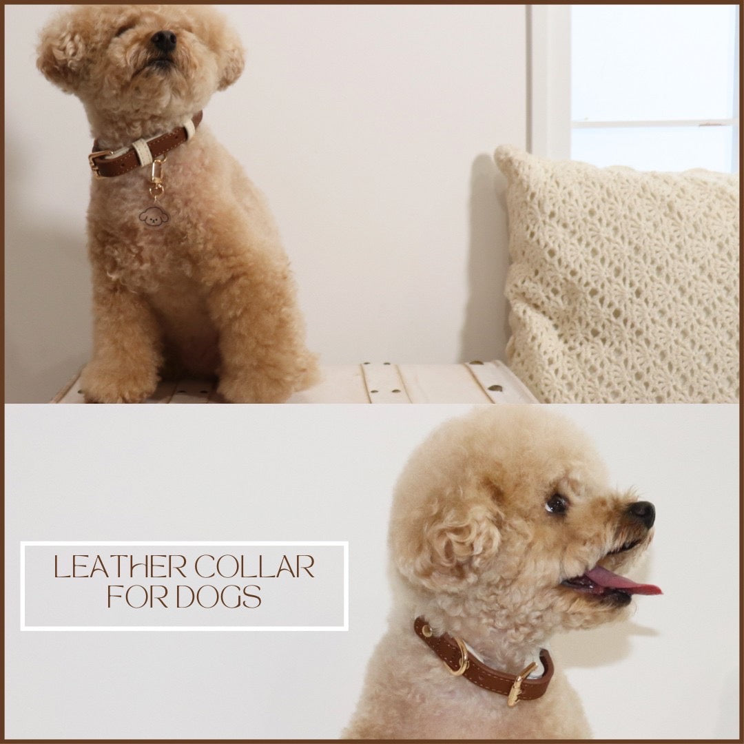 【即納】Leather Collar for dog / レザー首輪 for dog