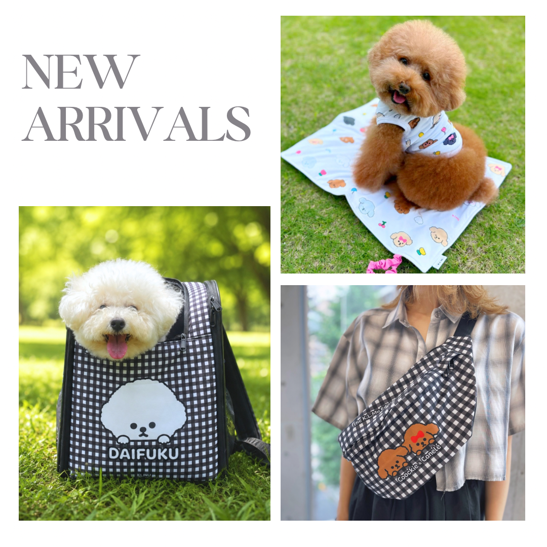New Items / 新着