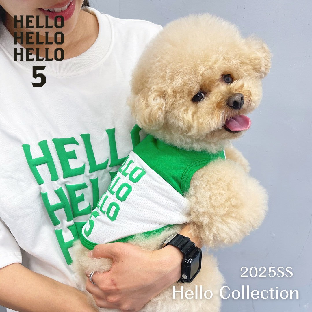Hello Collection