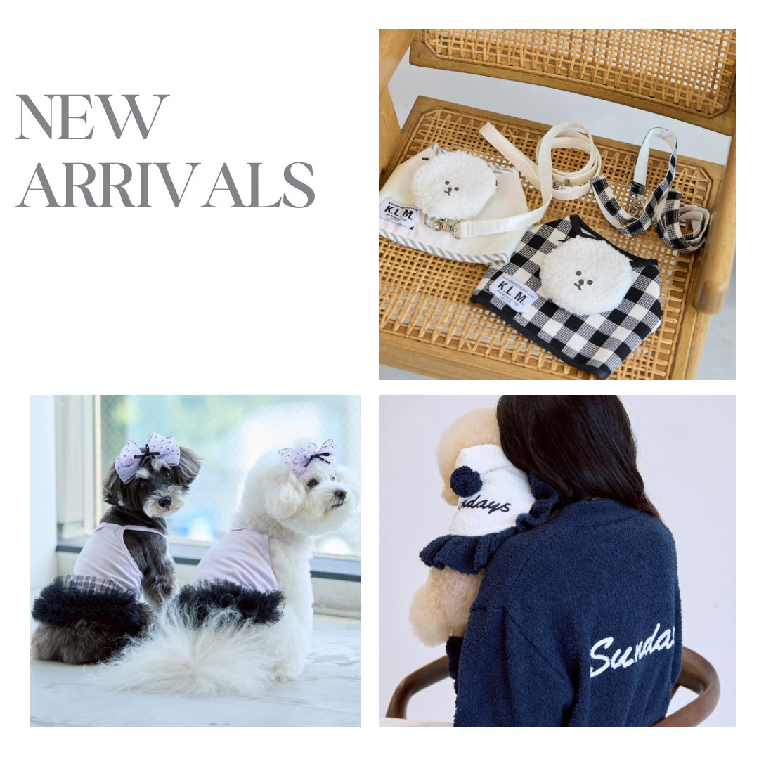 New Items / 新着