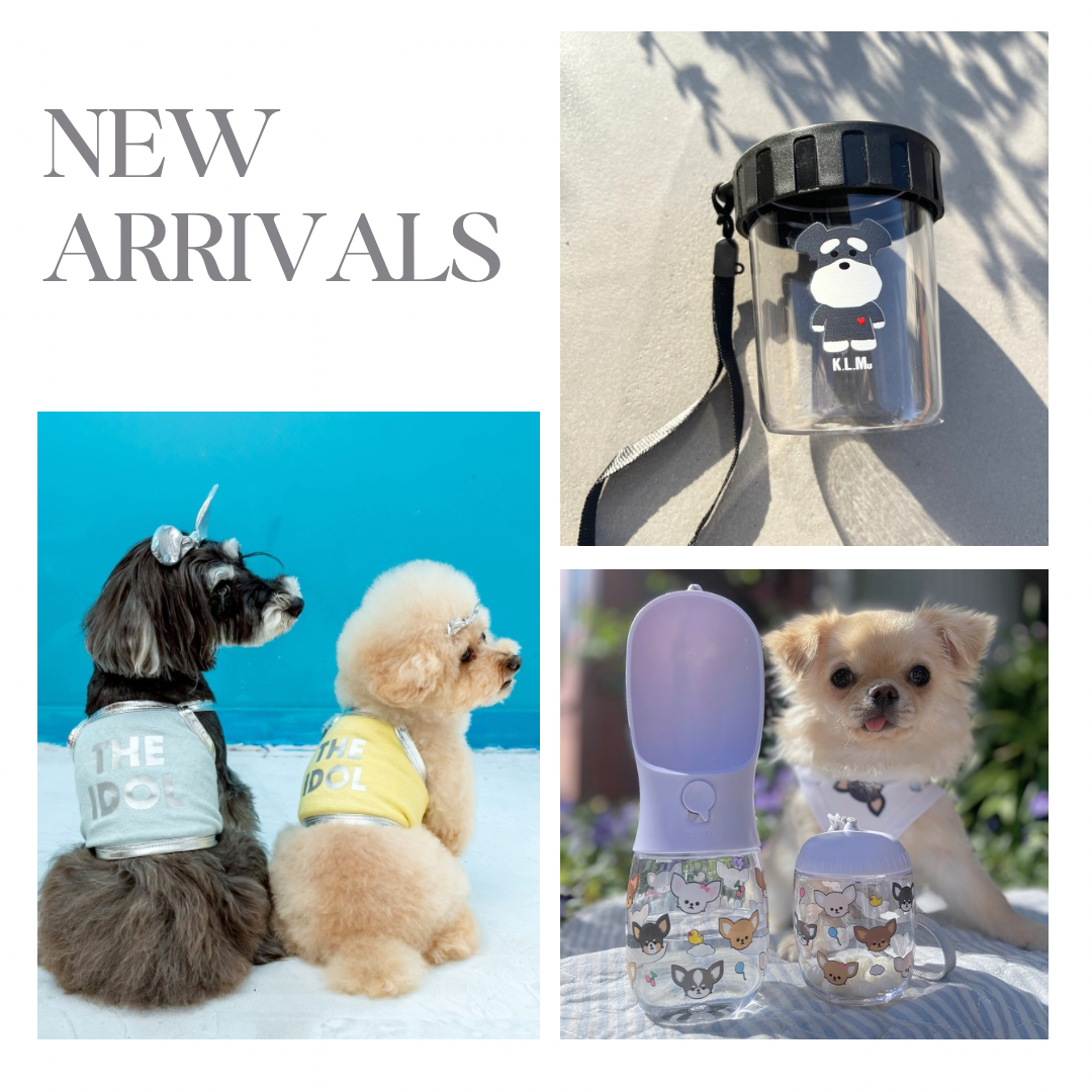 New Items / 新着