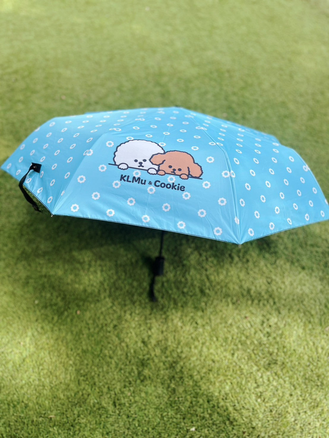 【予約商品】"KLMuCCo" UV Folding Umbrella / 「くるむっ子」晴雨兼用折りたたみ傘