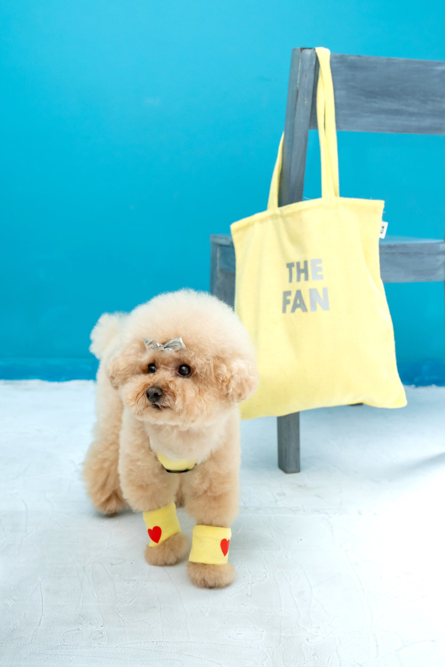 【即納】"THE FAN" Tote Bag for Owner / 「THE FAN」トートバッグ