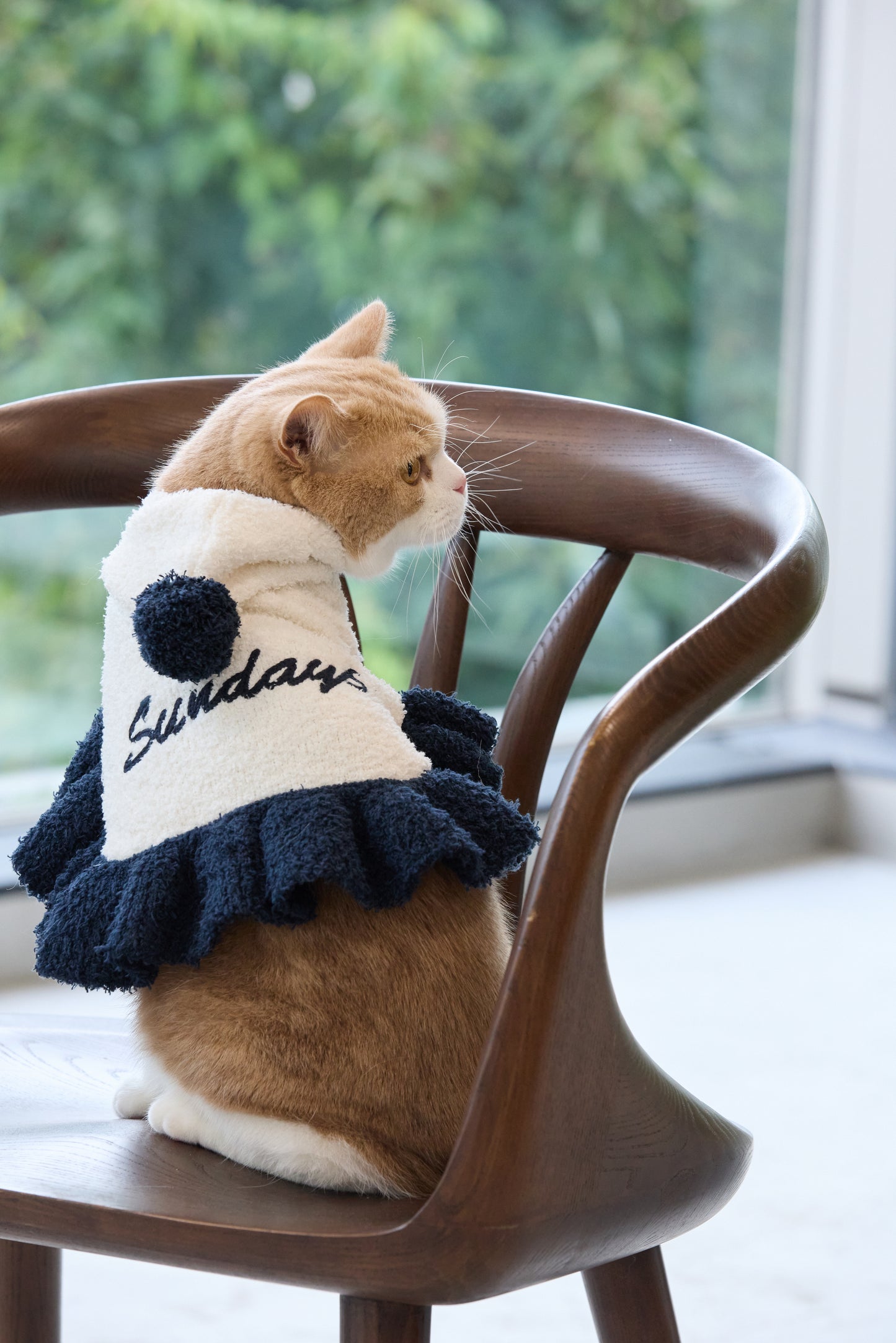 【即納】"Sundays" Knit Cape for Pet / 「Sundays」ニットケープ