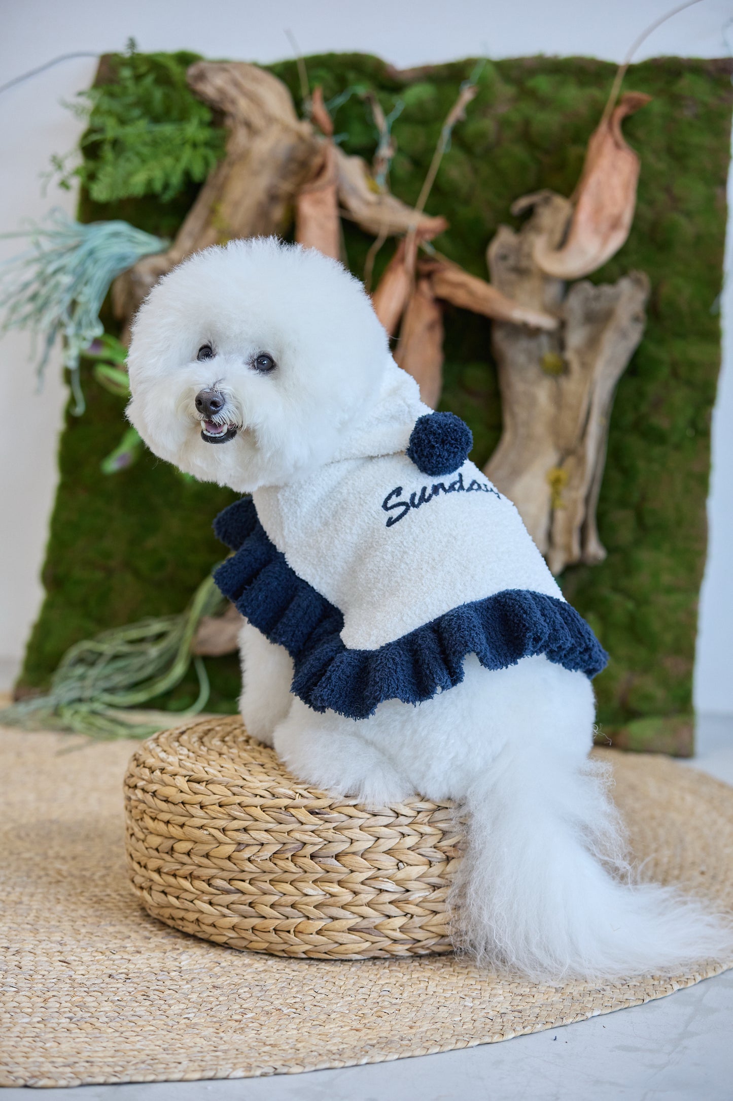 【即納】"Sundays" Knit Cape for Pet / 「Sundays」ニットケープ