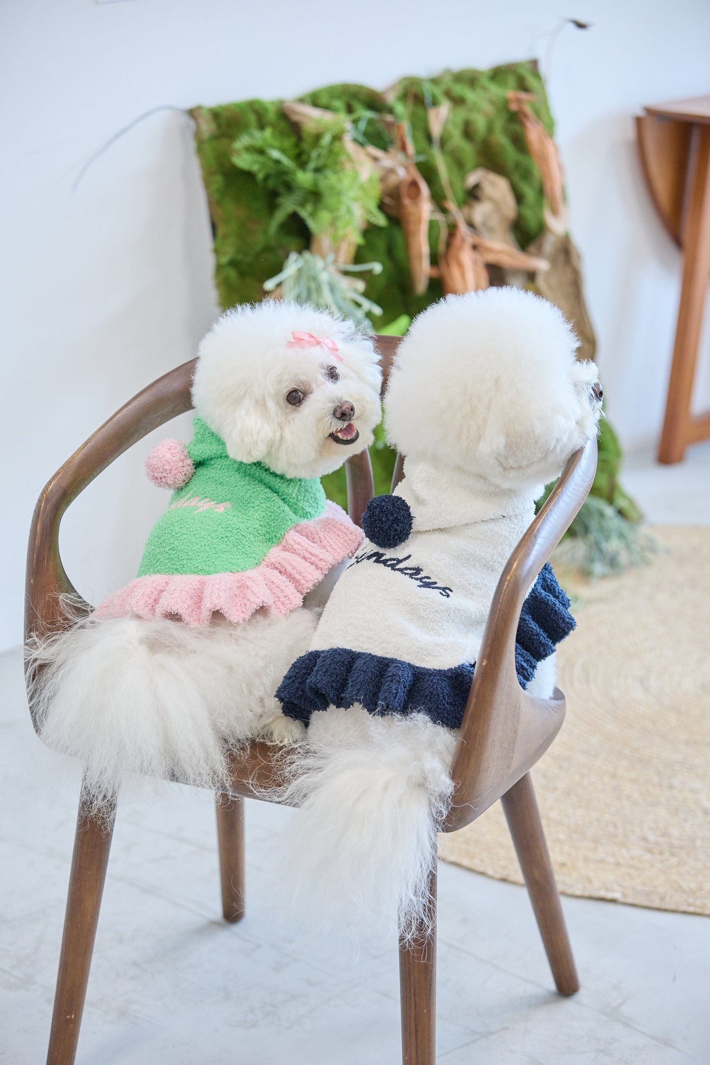【即納】"Sundays" Knit Cape for Pet / 「Sundays」ニットケープ