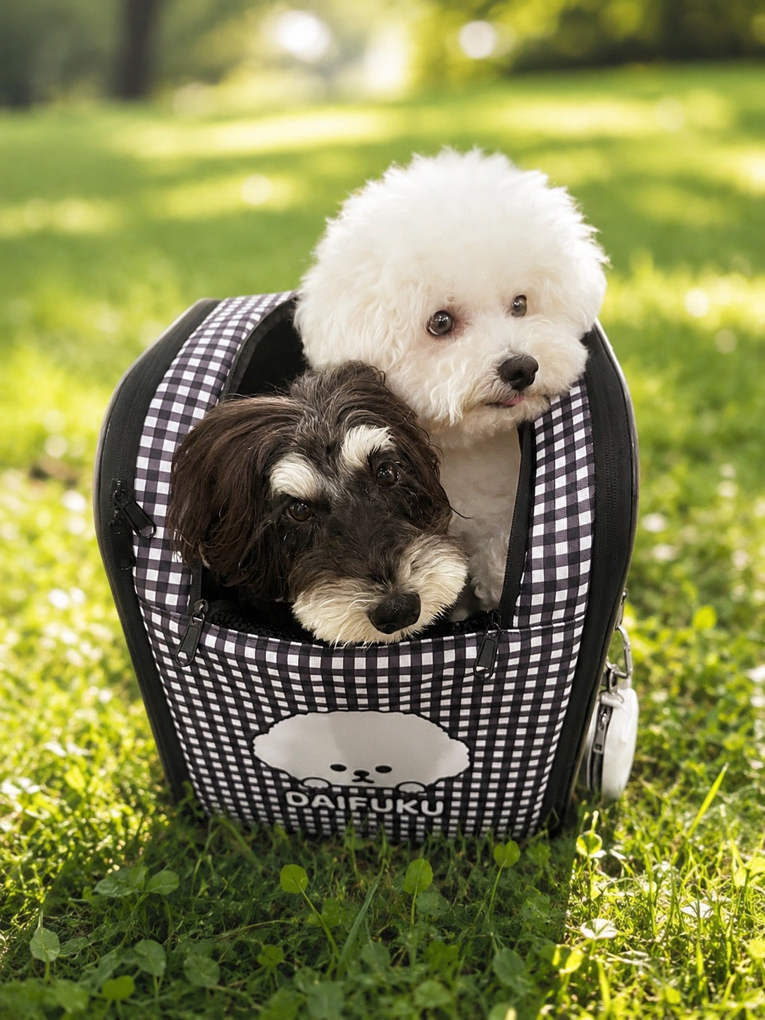 【予約商品】"KLMuCCo" Pet Carrier Backpack  / 「くるむっ子」ペットリュック