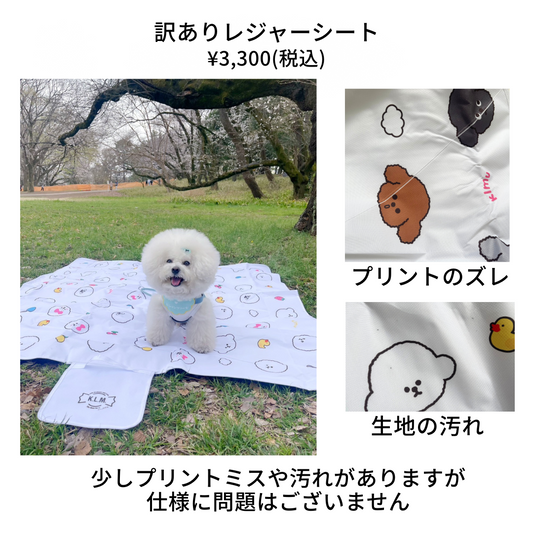 【訳あり品】"KLMuCCo" Picnic Sheet / ビッグレジャーシート