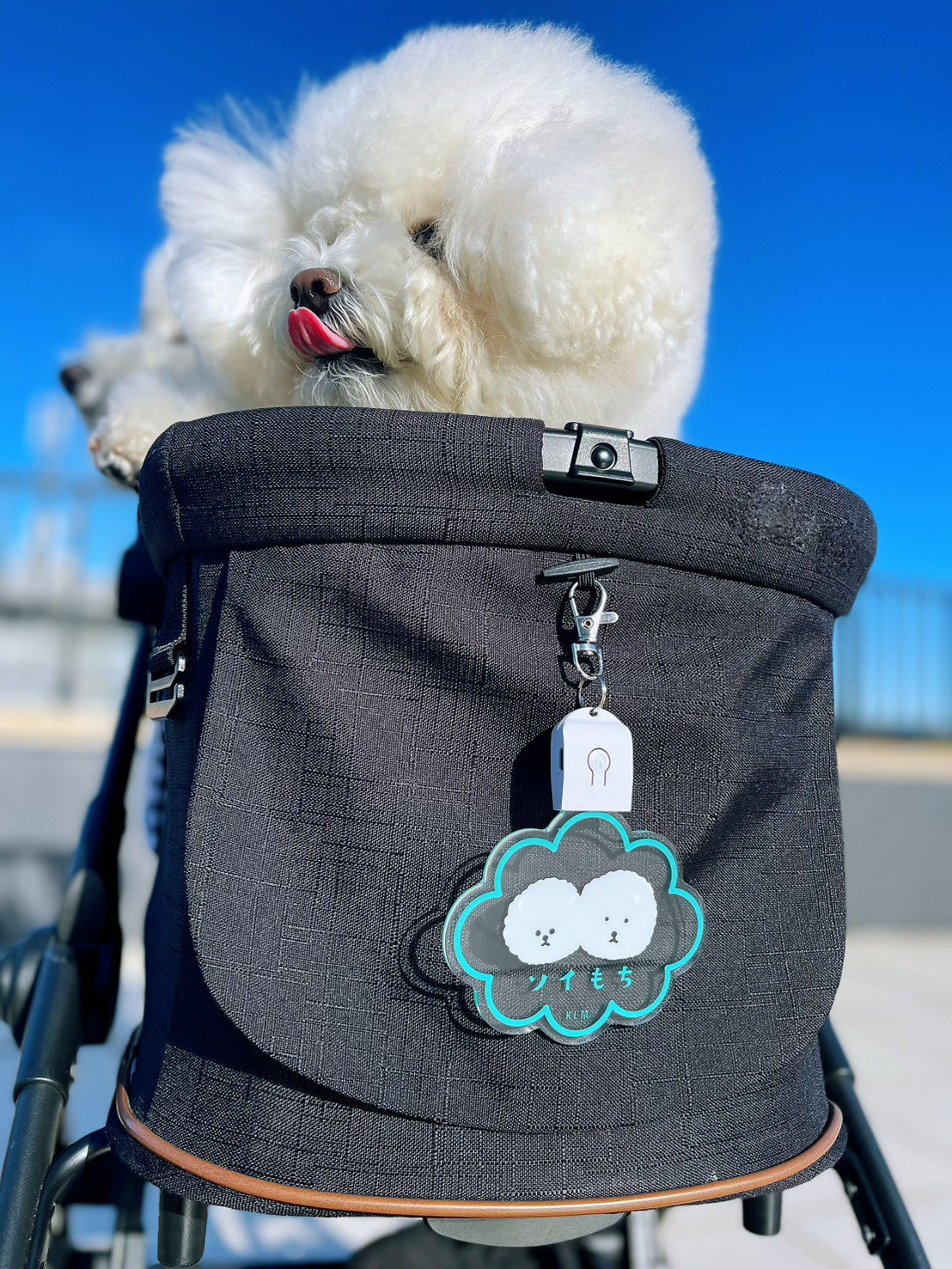 【予約商品】"KLMuCCo" Cloud Hika Tag / 雲型光タグ