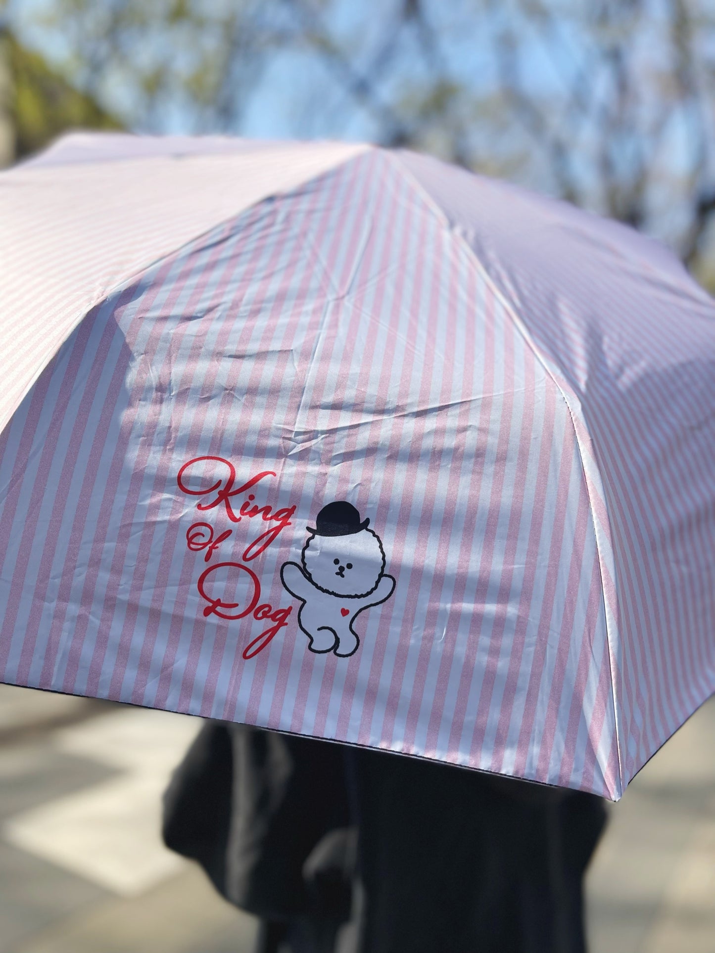 【即納】"King Of Dog" UV Folding Umbrella / 「King Of Dog」晴雨兼用折りたたみ傘
