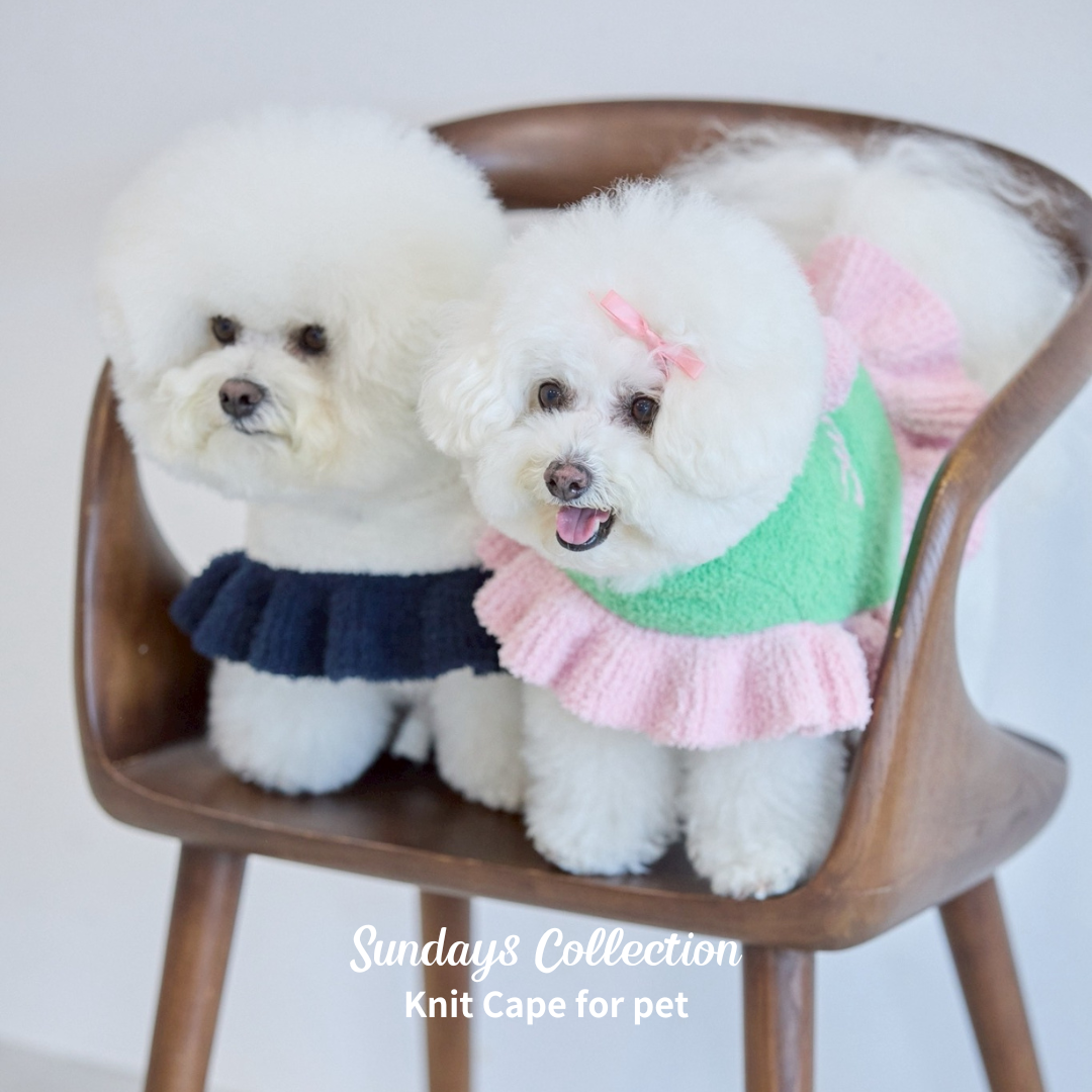 【即納】"Sundays" Knit Cape for Pet / 「Sundays」ニットケープ