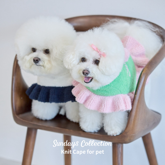 【即納】"Sundays" Knit Cape for Pet / 「Sundays」ニットケープ