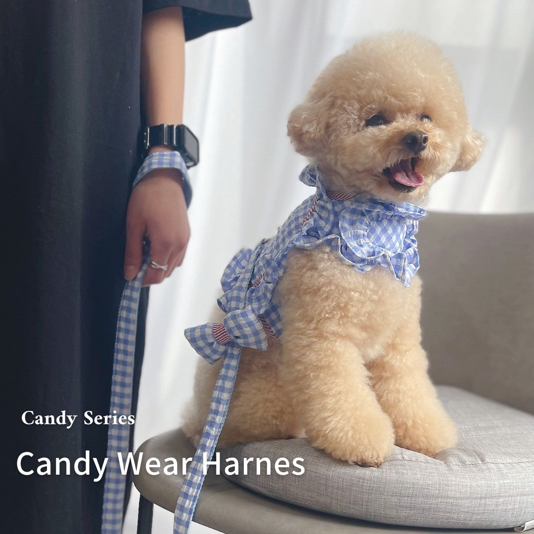【Candy Series】Candy Wear Harness / キャンディウェアハーネス