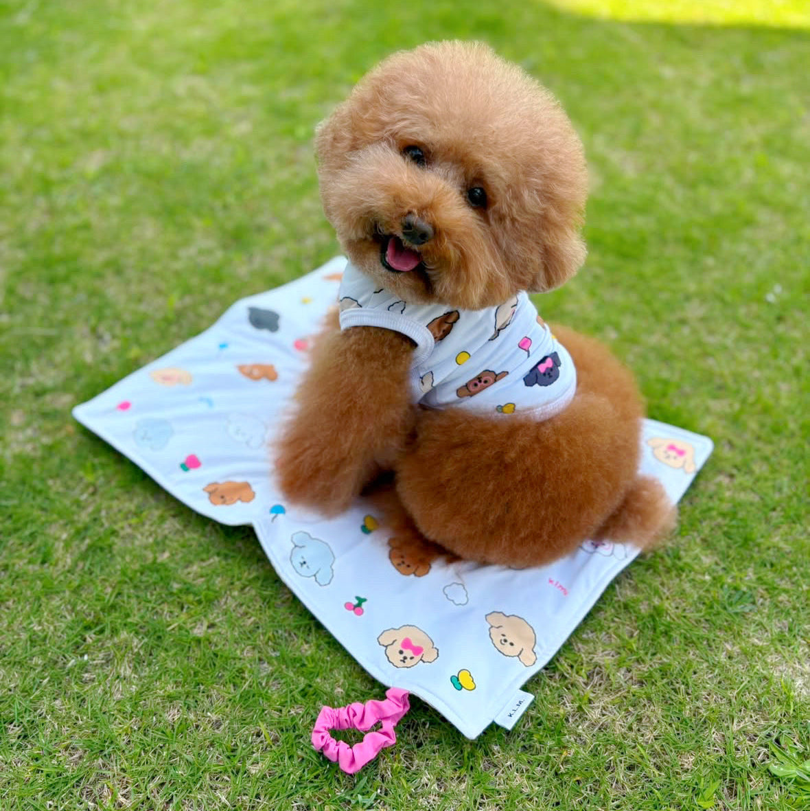 【 即納】Random Face Cooling Touch Cafe Mat / クーリングタッチカフェマット
