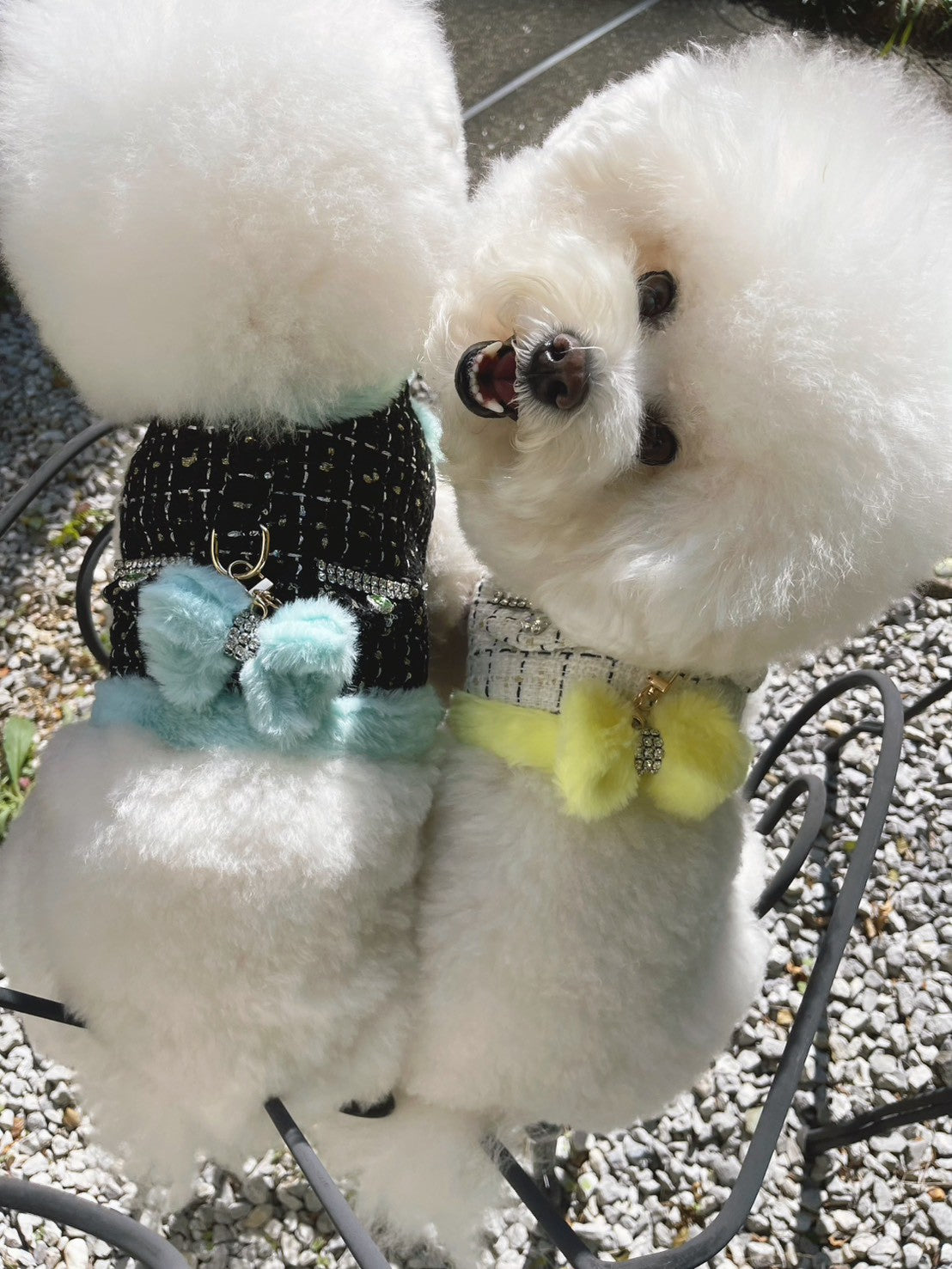 【Candy Series / 即納】Tweed Color Fur Wear Harness / ツイードカラーファーウェアハーネス