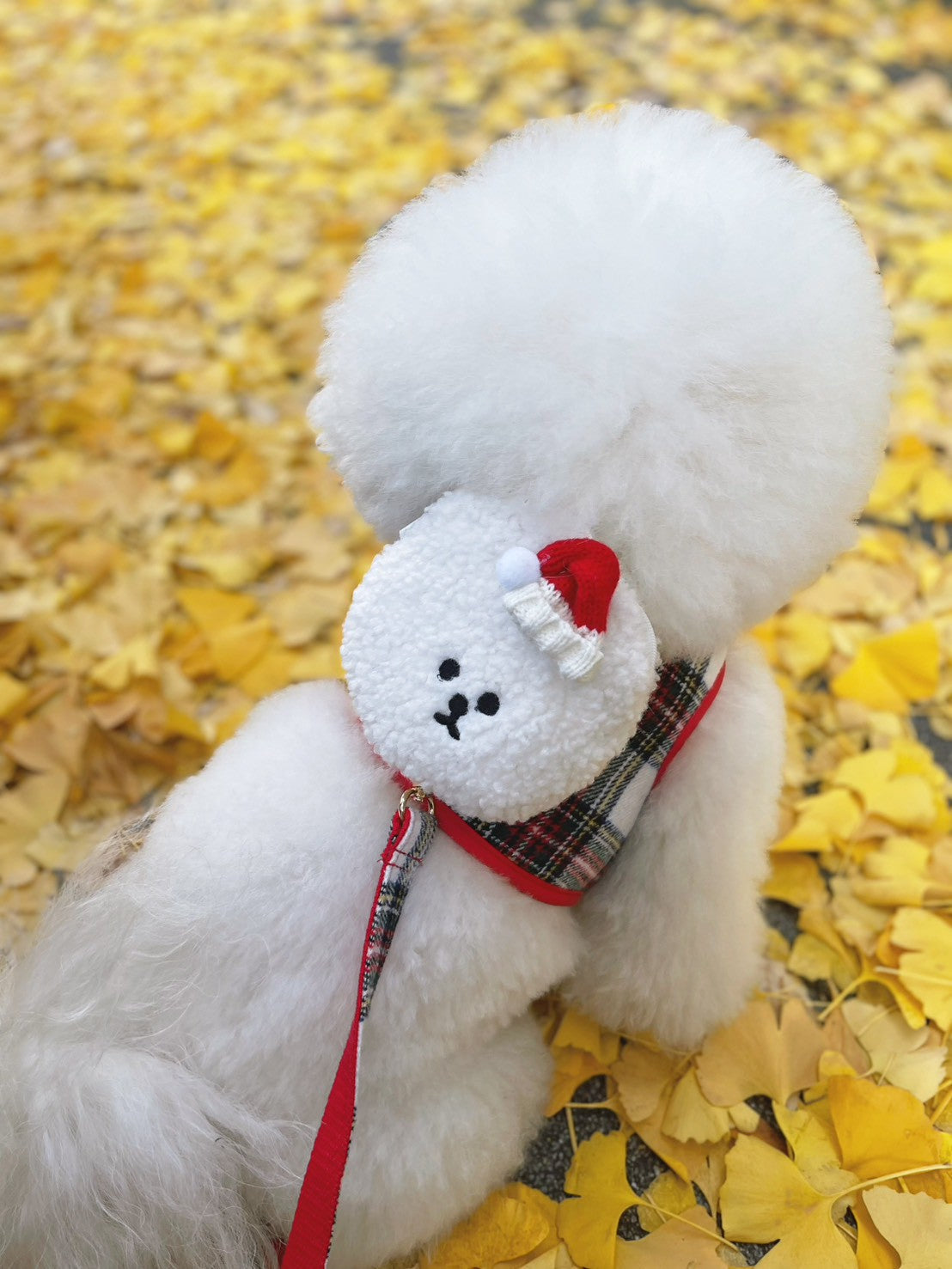 【即納】Mr. Klmu's Holiday Wear Harness / ホリデーウェアハーネス