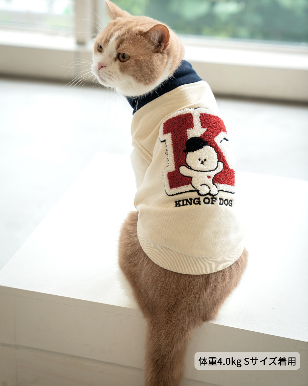 【即納】"King Of Dog" Half-Zip Pullover for Pet / 「King Of Dog」ハーフジッププルオーバー for Pet