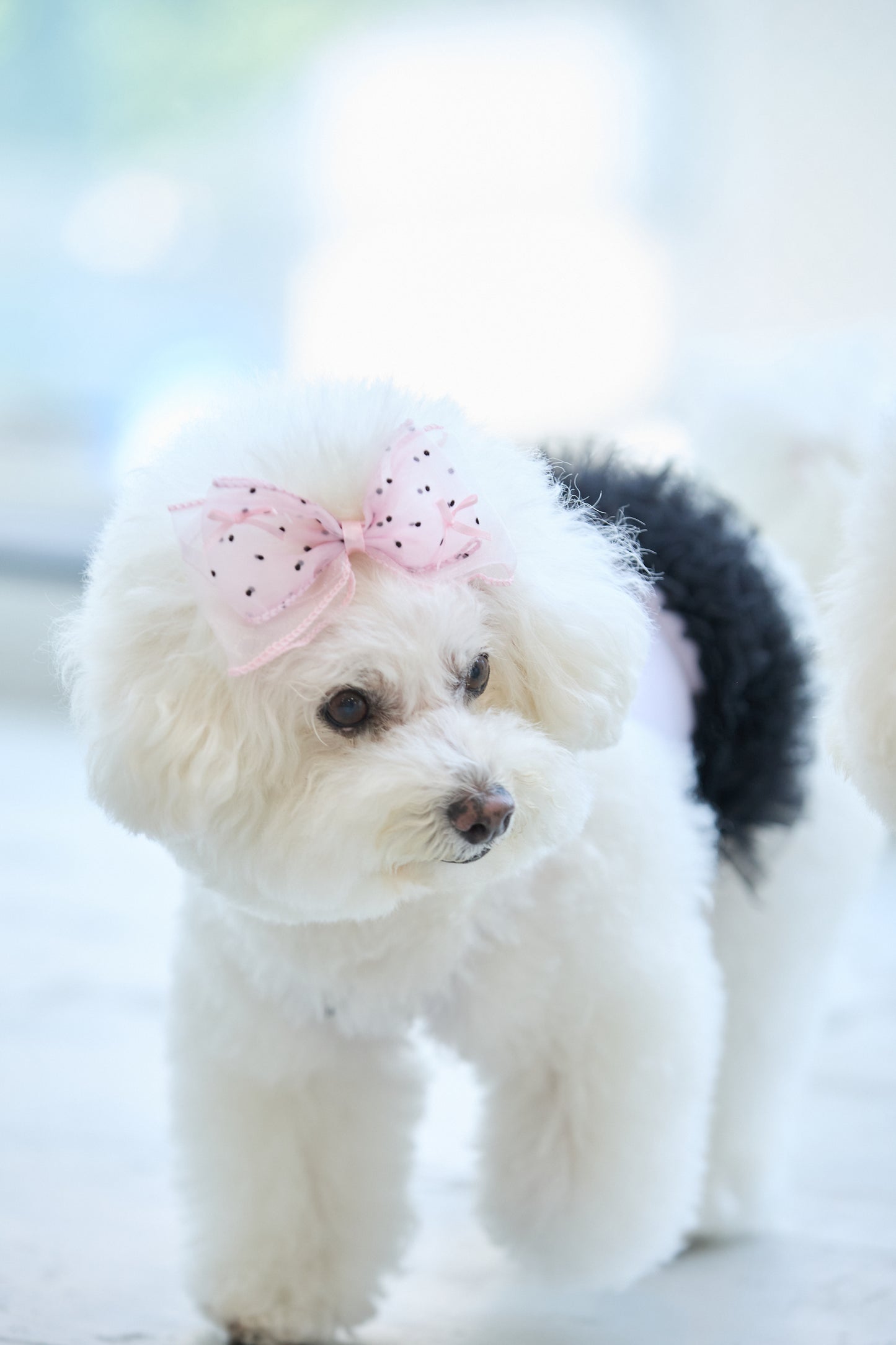 【即納】Big Ribbon Hair Pin / ビッグリボンヘアピン
