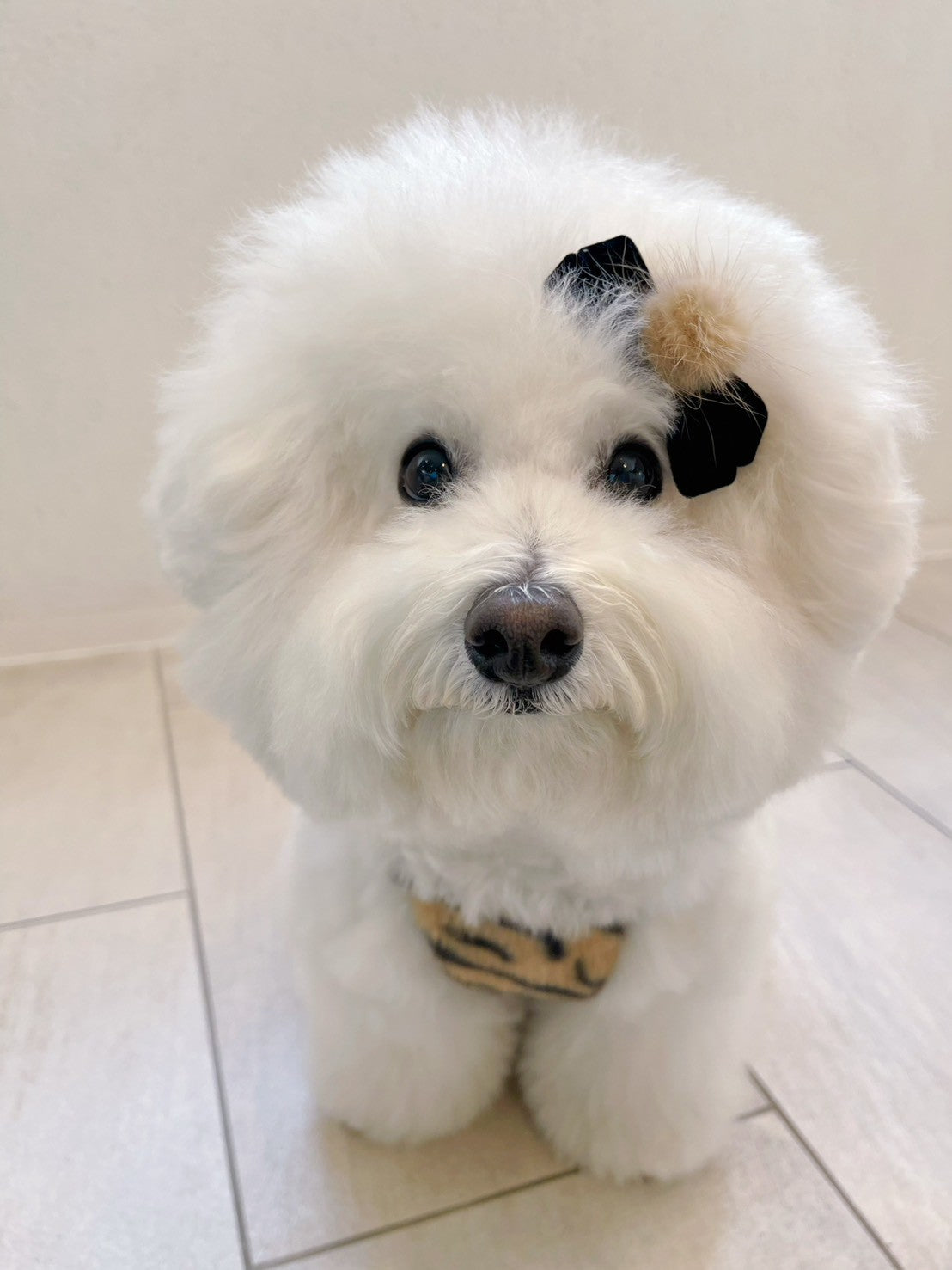 【即納】Velvet Ribbon Pin / ベルベットリボンピン