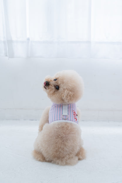 【即納】"King Of Dog" Stripe Wear Harness for Pet / 「King Of Dog」ストライプウェアハーネス for Pet