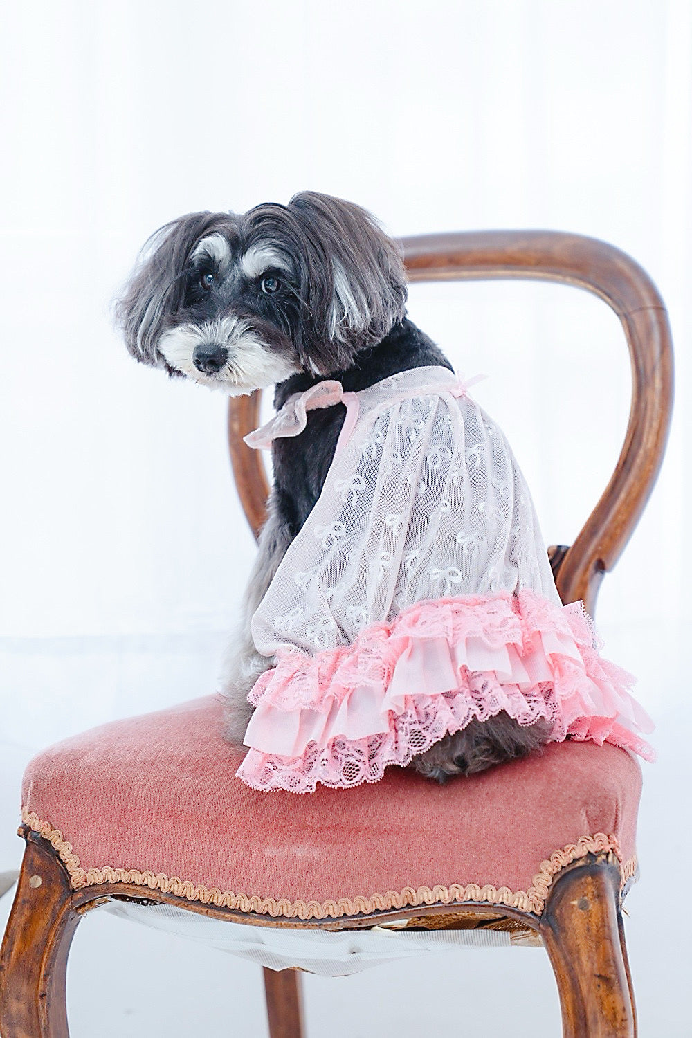 【Candy Series / 即納】Sheer Frill Rompers / シアーフリルローンパス