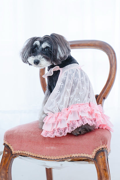 【Candy Series / 即納】Sheer Frill Rompers / シアーフリルローンパス