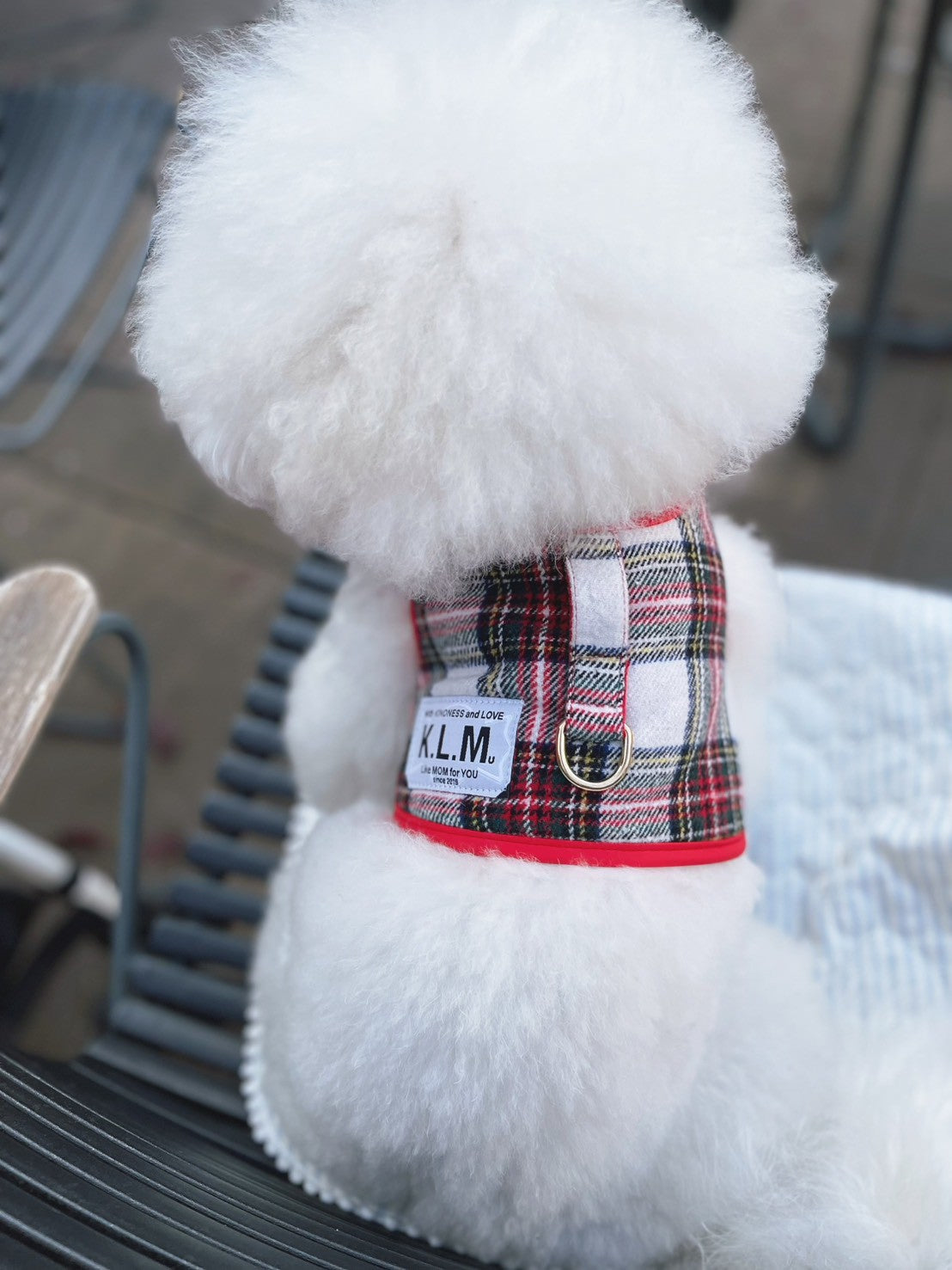 【即納】Mr. Klmu's Holiday Wear Harness / ホリデーウェアハーネス